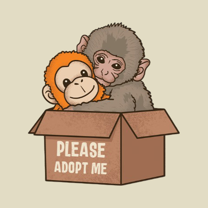 Please Adopt Me Monkey Playful T-Shirt