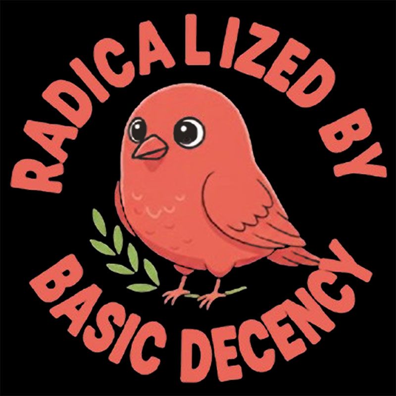Radicalized By Basic Decency Geek Baby Tee