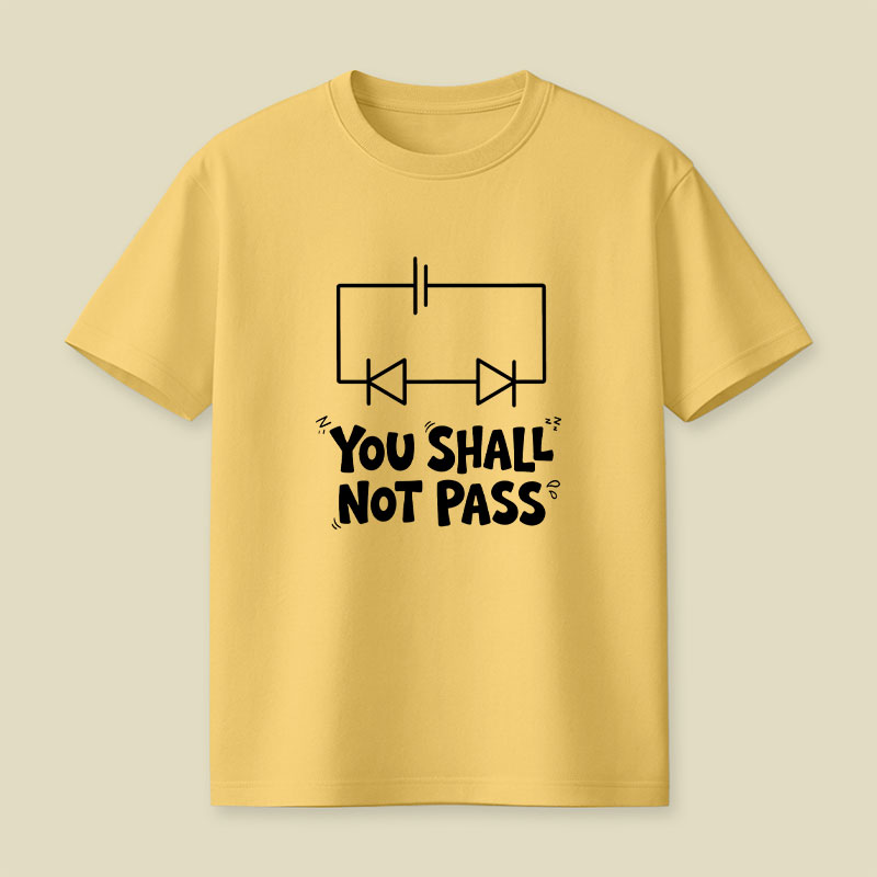 Funny Physics You Shall Not Pass Playful T-Shirt