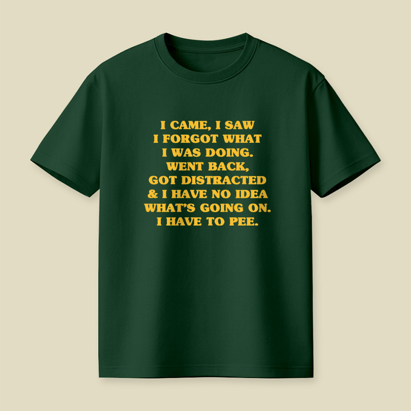 I Came I Saw I Forgot What I Was Doing Playful T-Shirt