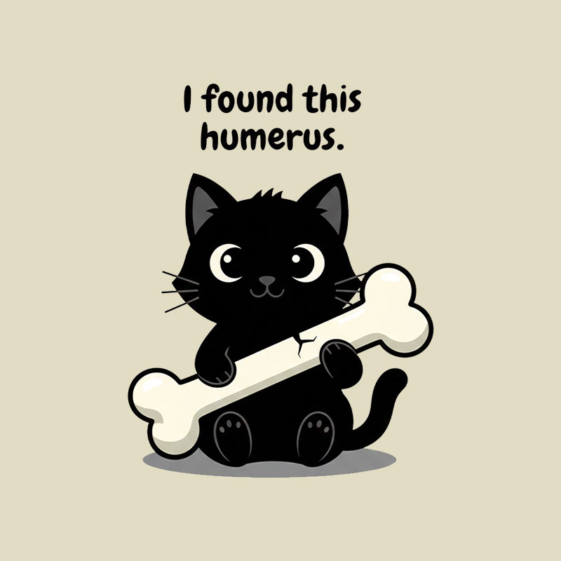 I Found This Humerus Playful T-Shirt