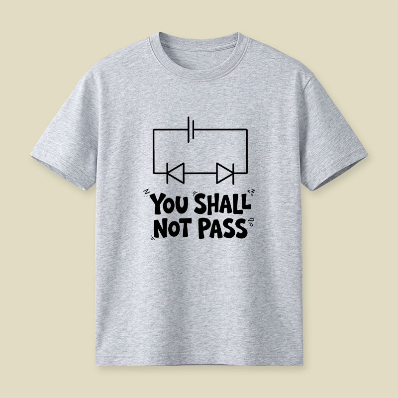 Funny Physics You Shall Not Pass Playful T-Shirt