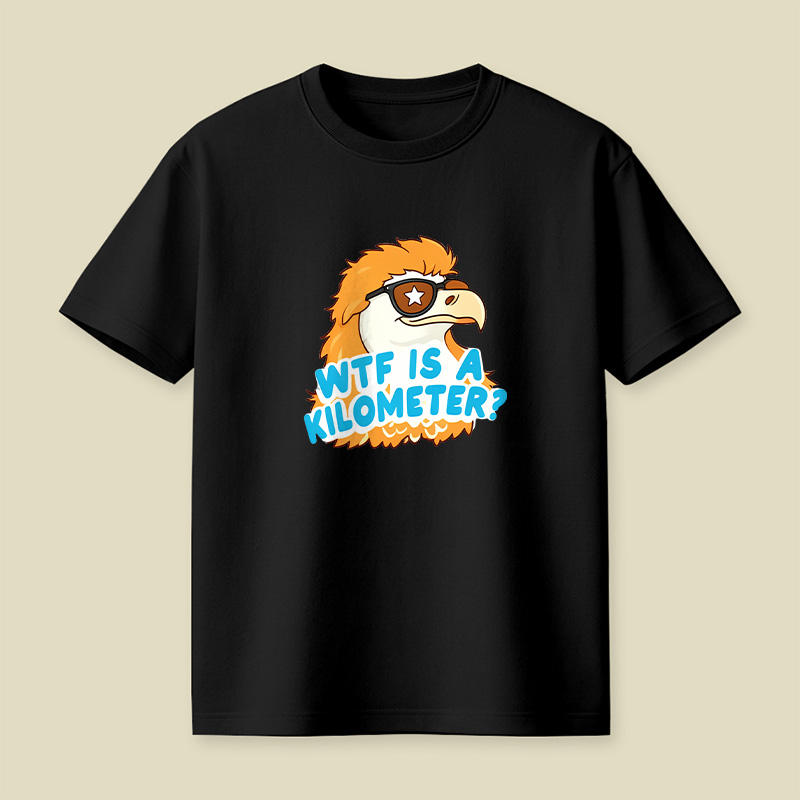 Wtf Is A Kilometer Playful T-Shirt