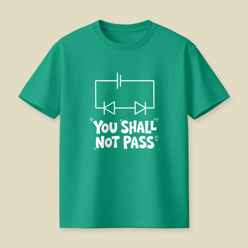 Funny Physics You Shall Not Pass Playful T-Shirt