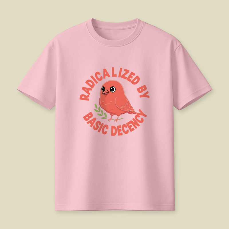 Radicalized By Basic Decency Playful T-Shirt