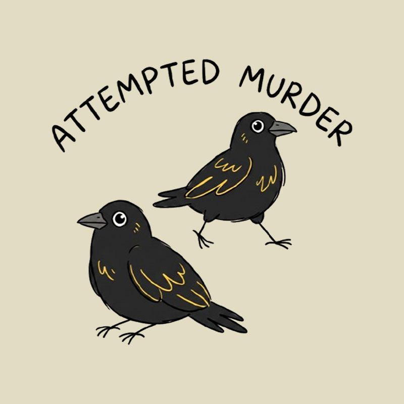 Attempted Murder Playful T-Shirt