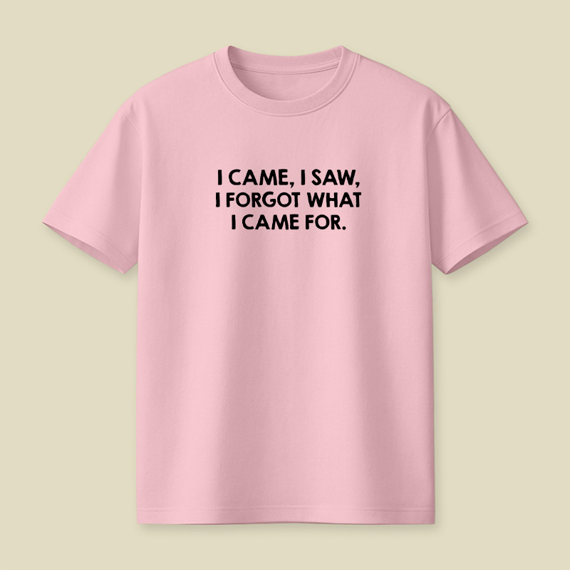 I Came I Saw I Forgot What I Came For Playful T-Shirt