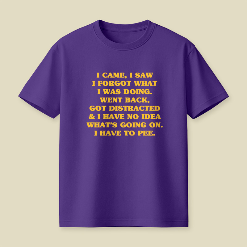 I Came I Saw I Forgot What I Was Doing Playful T-Shirt