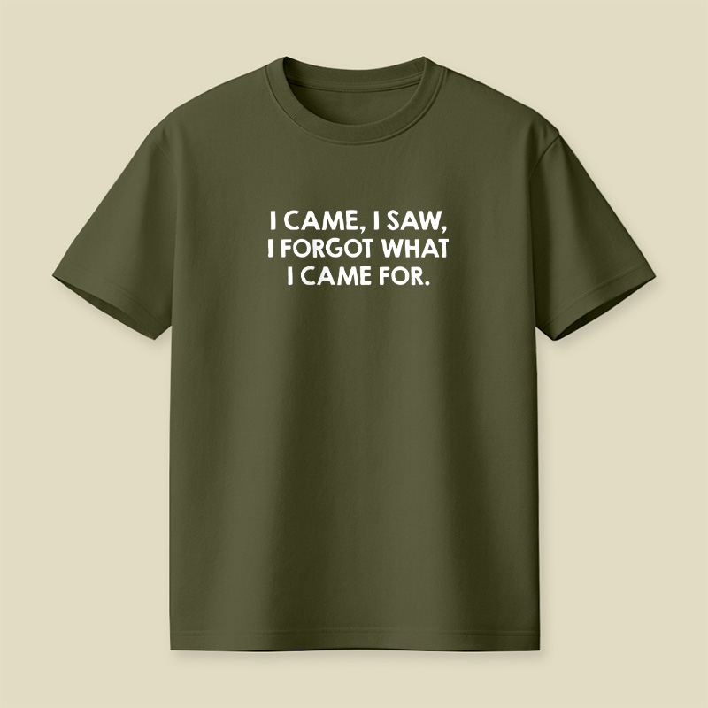 I Came I Saw I Forgot What I Came For Playful T-Shirt