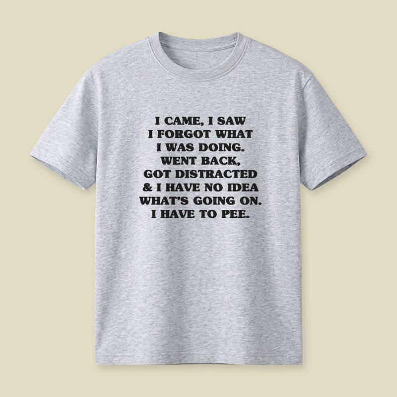 I Came I Saw I Forgot What I Was Doing Playful T-Shirt