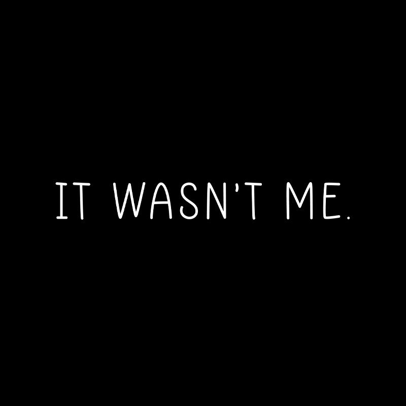 It Wasn't Me Playful T-Shirt