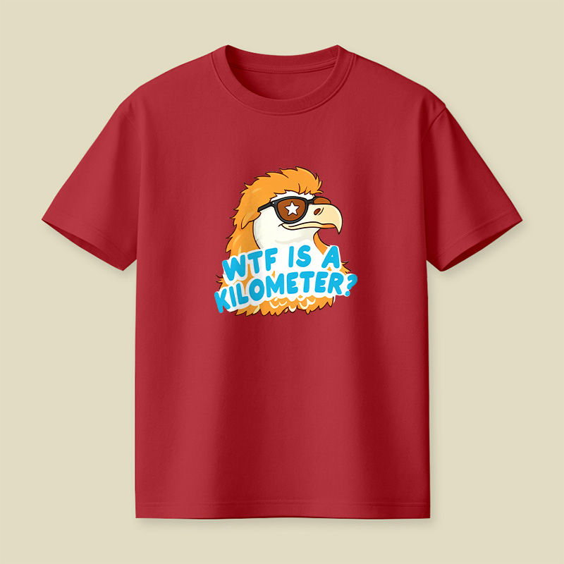 Wtf Is A Kilometer Playful T-Shirt