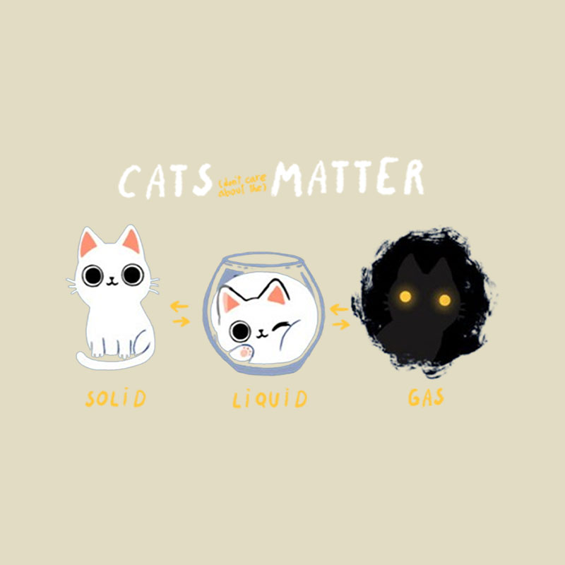 Cats Matter Playful T-Shirt