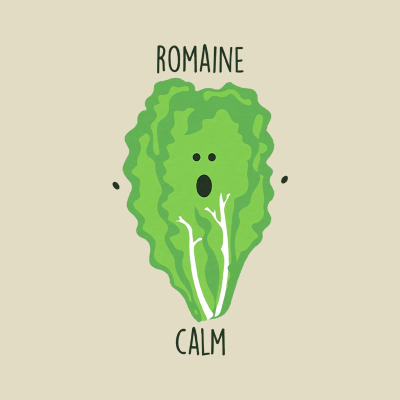 Romaine Calm Playful T-Shirt