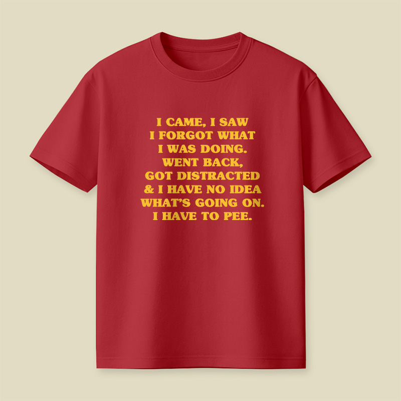 I Came I Saw I Forgot What I Was Doing Playful T-Shirt
