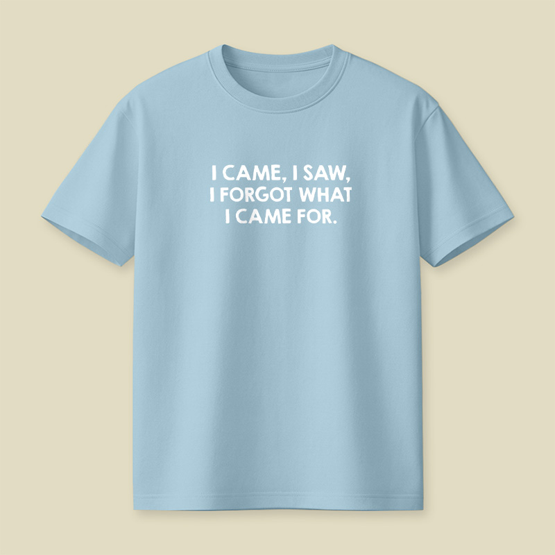 I Came I Saw I Forgot What I Came For Playful T-Shirt