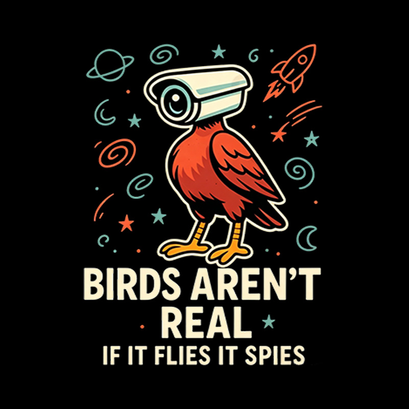 Birds Are Not Real Conspiracy Playful T-Shirt