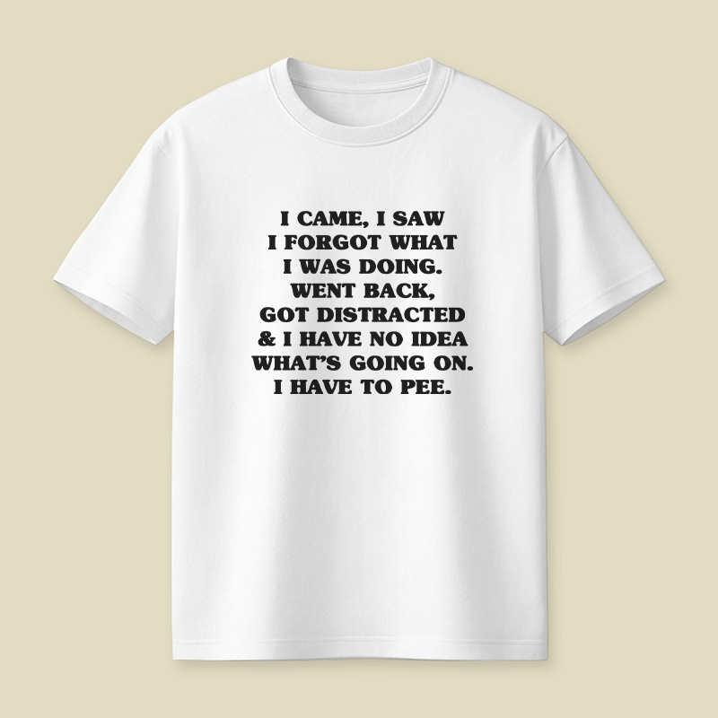 I Came I Saw I Forgot What I Was Doing Playful T-Shirt