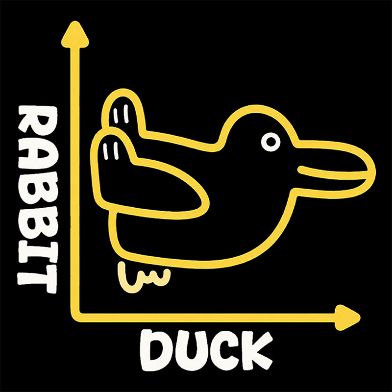 Rabbit or Duck Funny Geek Baby Tee