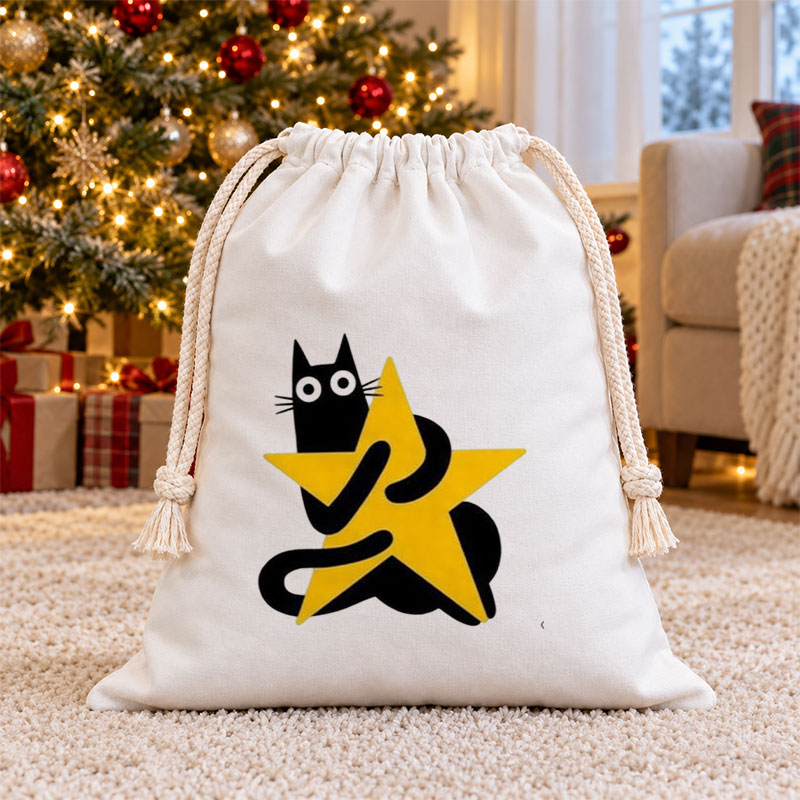Black Cat Hugging Star Christmas Drawstring Gift Bag