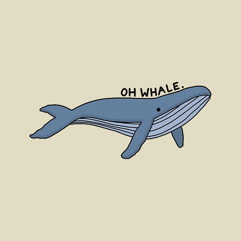 Oh Whale Playful T-Shirt