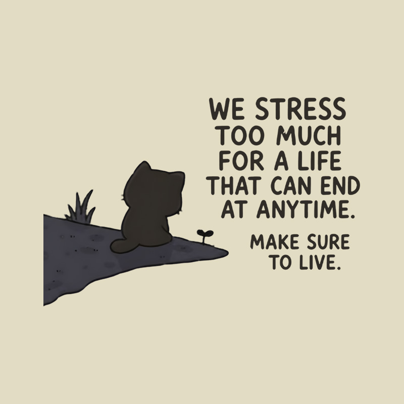 We Stress Too Much Cat Playful T-Shirt