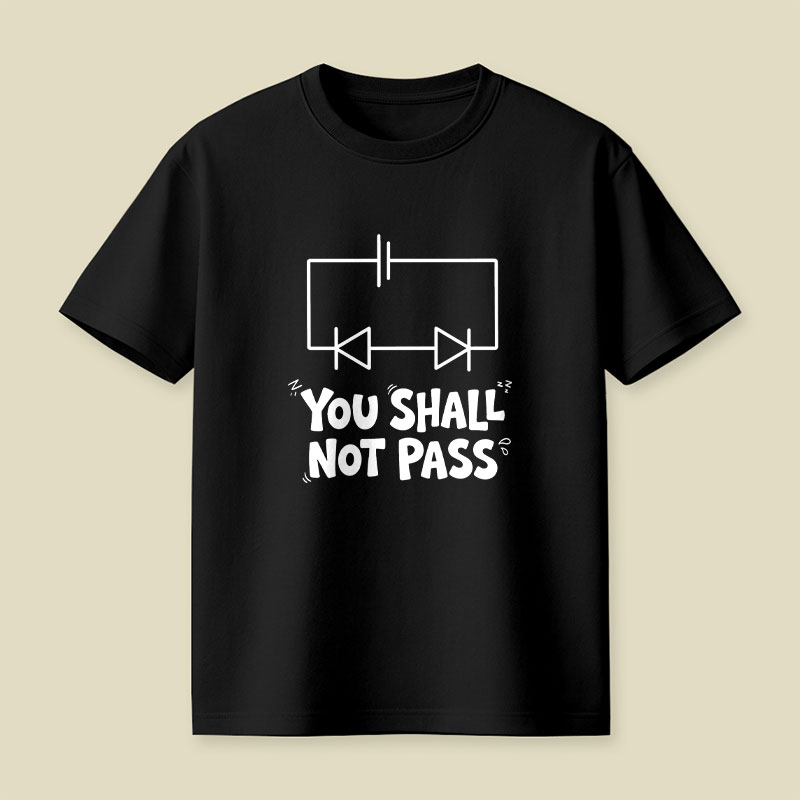 Funny Physics You Shall Not Pass Playful T-Shirt