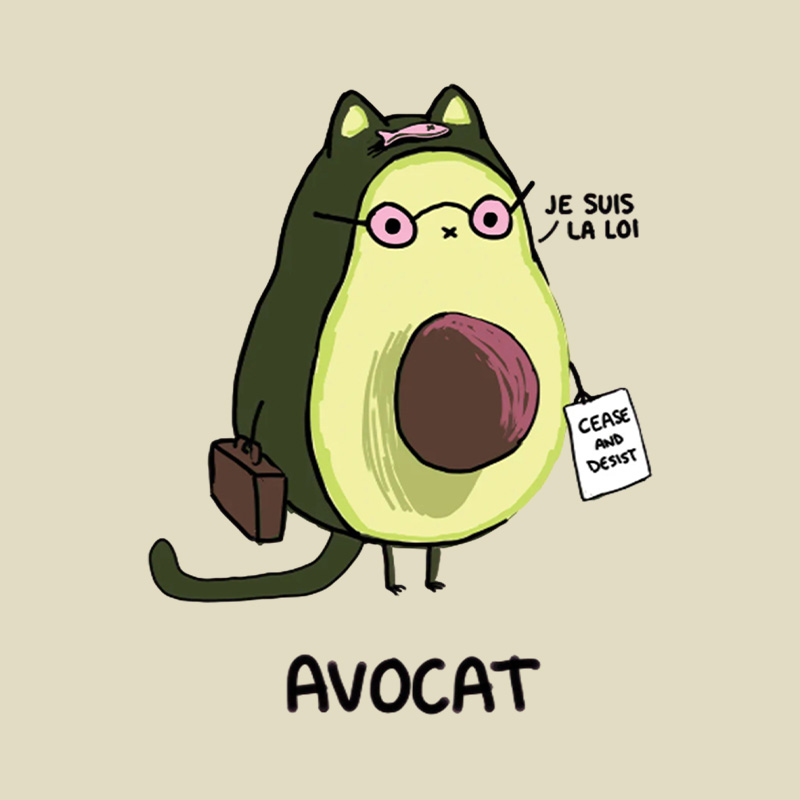 Avocat French Lawyer Cat Pun Playful T-Shirt