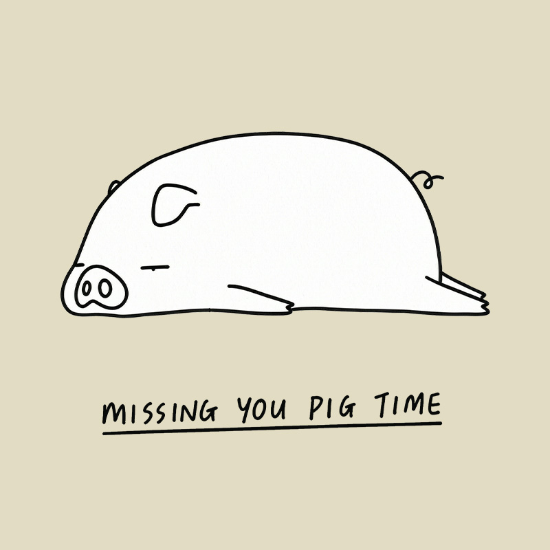 Sleepy Pig Missing You Pun Playful T-Shirt
