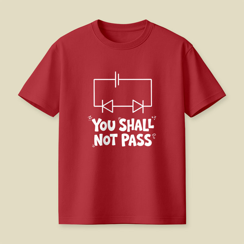 Funny Physics You Shall Not Pass Playful T-Shirt