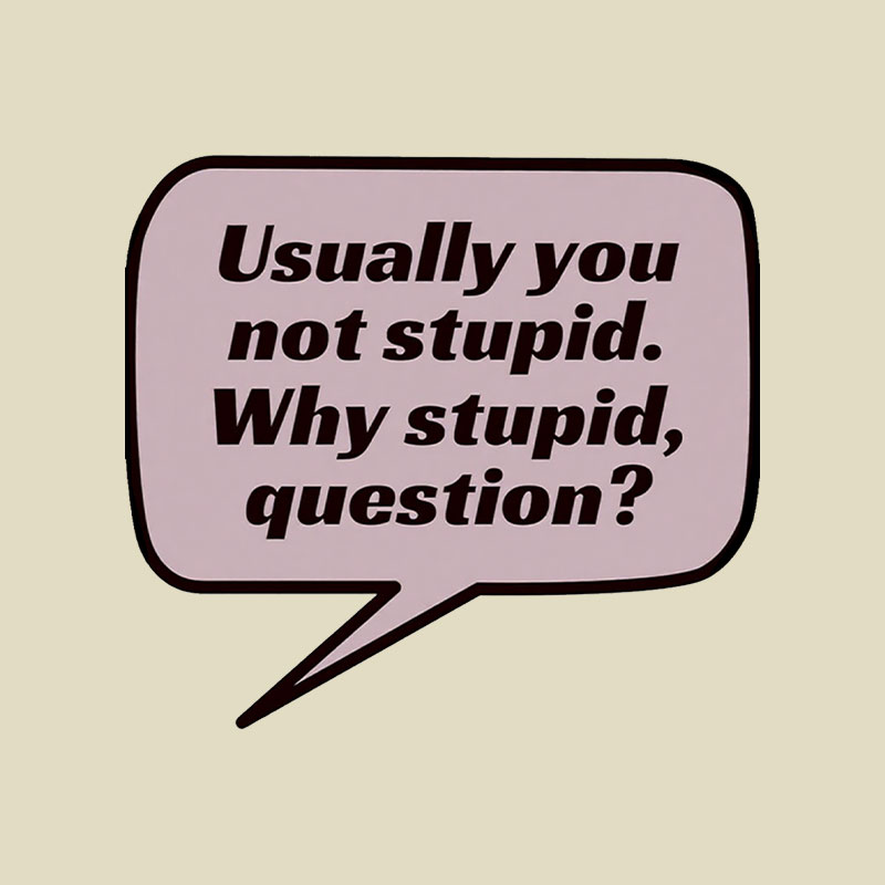 Project Hail Mary Why Stupid Playful T-Shirt