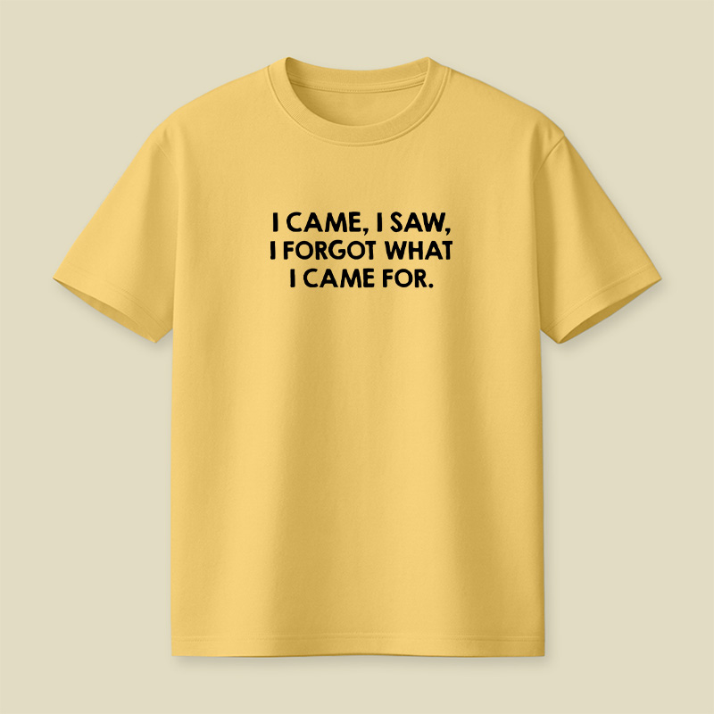 I Came I Saw I Forgot What I Came For Playful T-Shirt