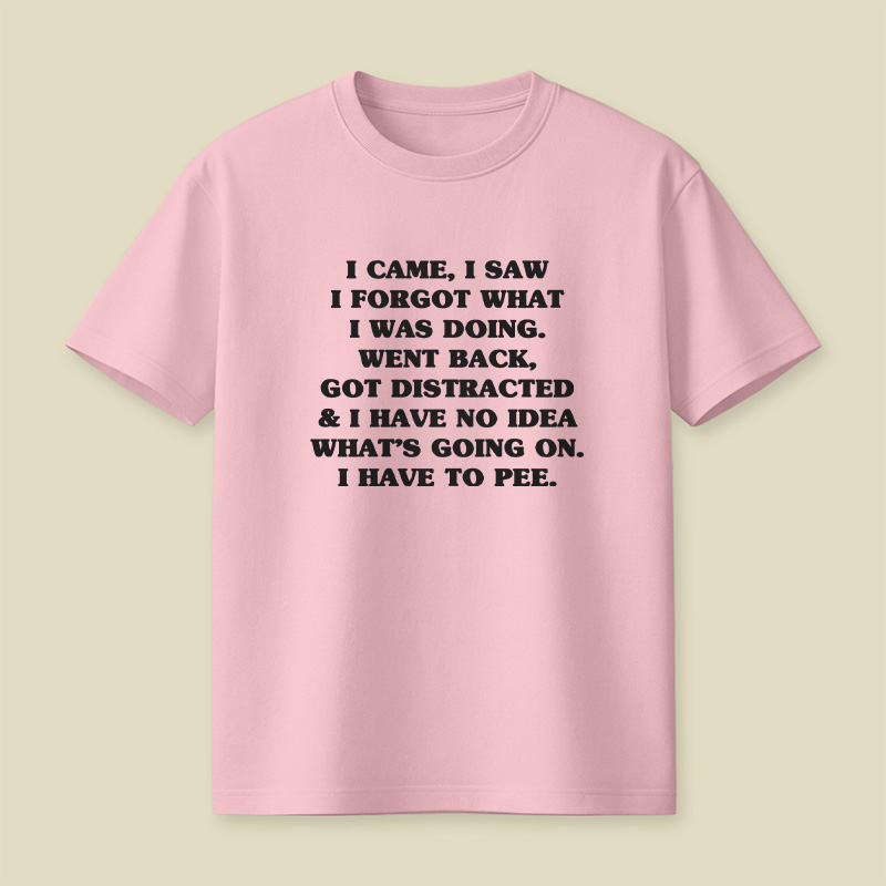 I Came I Saw I Forgot What I Was Doing Playful T-Shirt