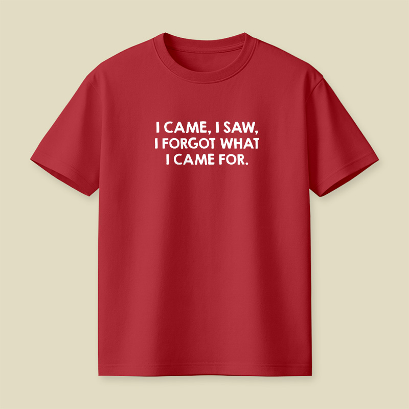 I Came I Saw I Forgot What I Came For Playful T-Shirt