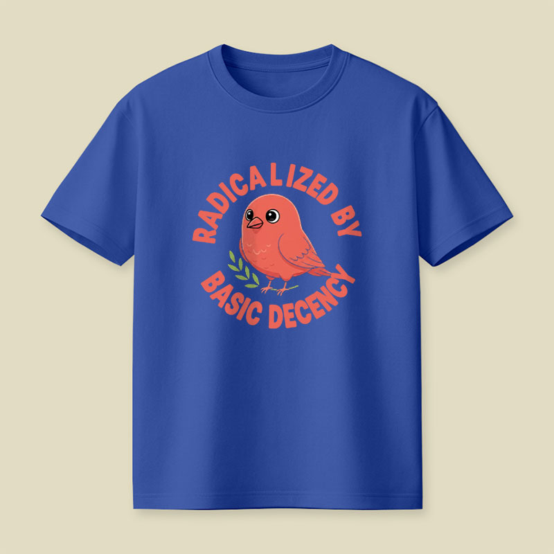 Radicalized By Basic Decency Playful T-Shirt
