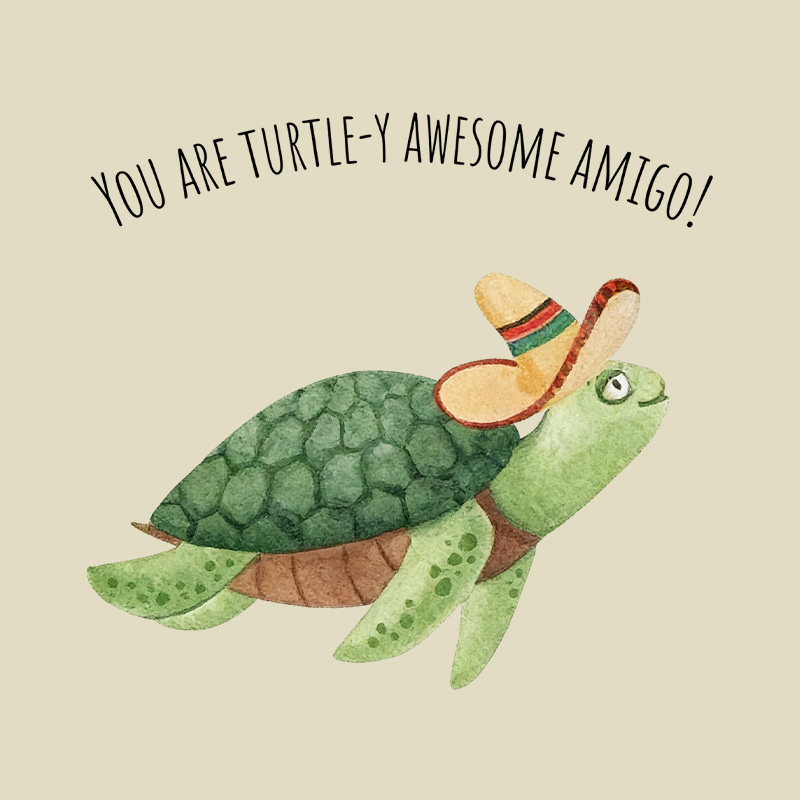 Turtley Awesome Amigo Animal Pun Playful T-Shirt