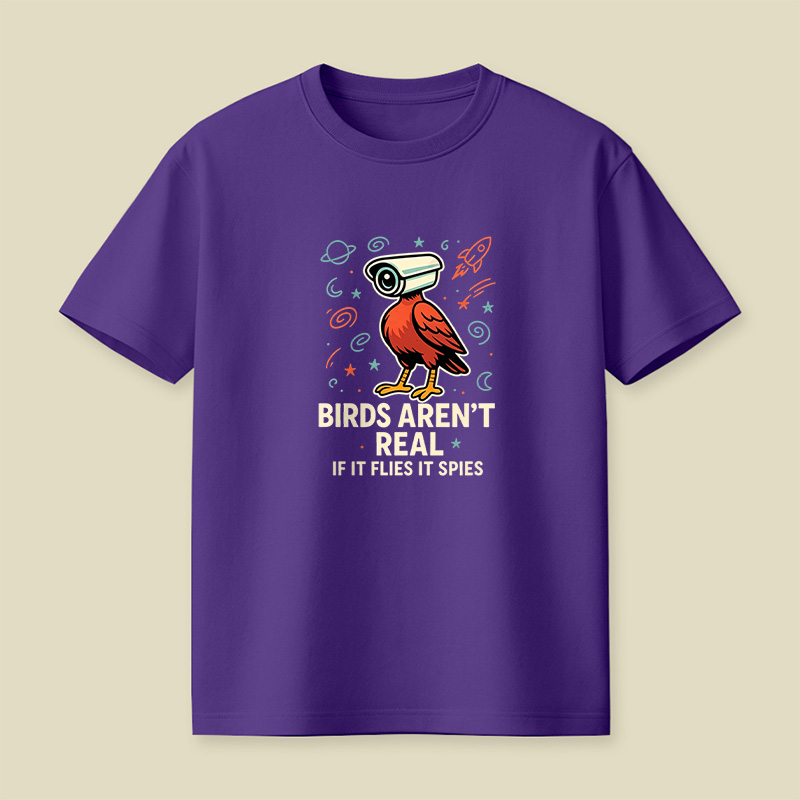 Birds Are Not Real Conspiracy Playful T-Shirt