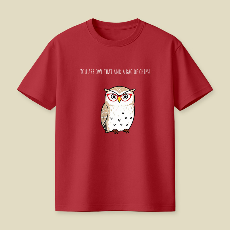 You Are Owl That And A Bag Of Chips Owl Playful T-Shirt