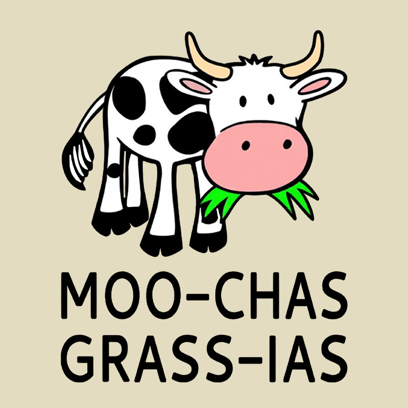 Moo-chas Grass-ias Geek Baby Tee