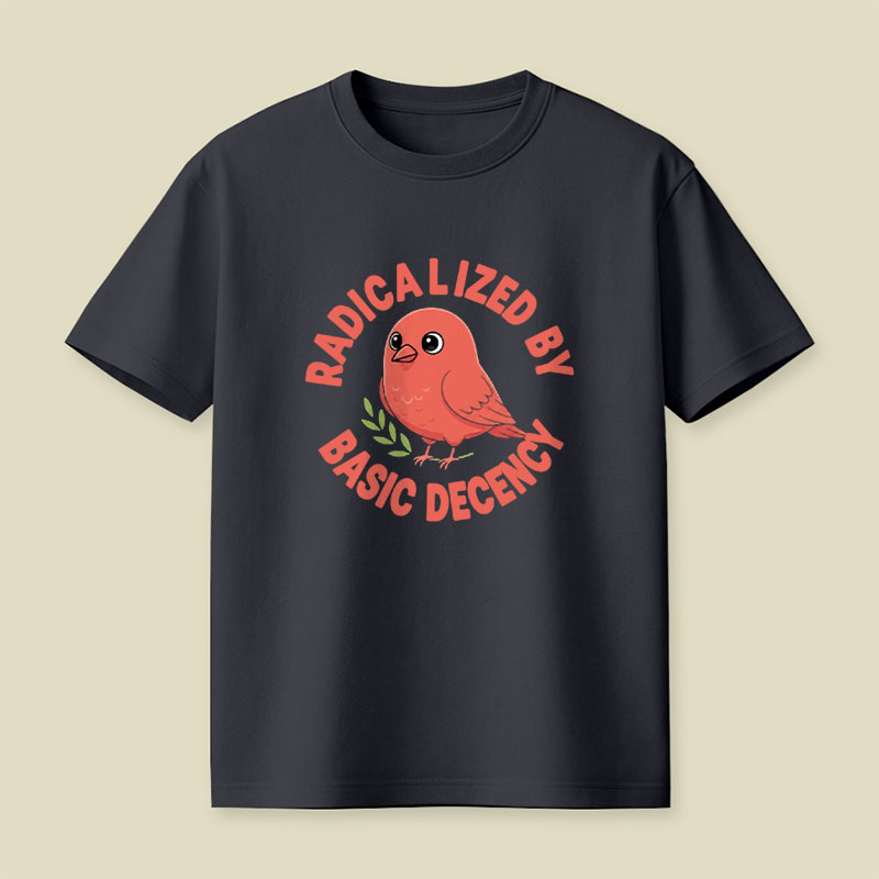 Radicalized By Basic Decency Playful T-Shirt