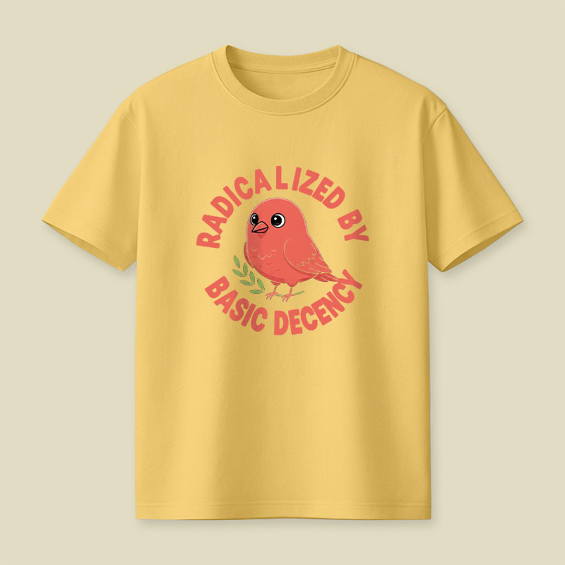 Radicalized By Basic Decency Playful T-Shirt