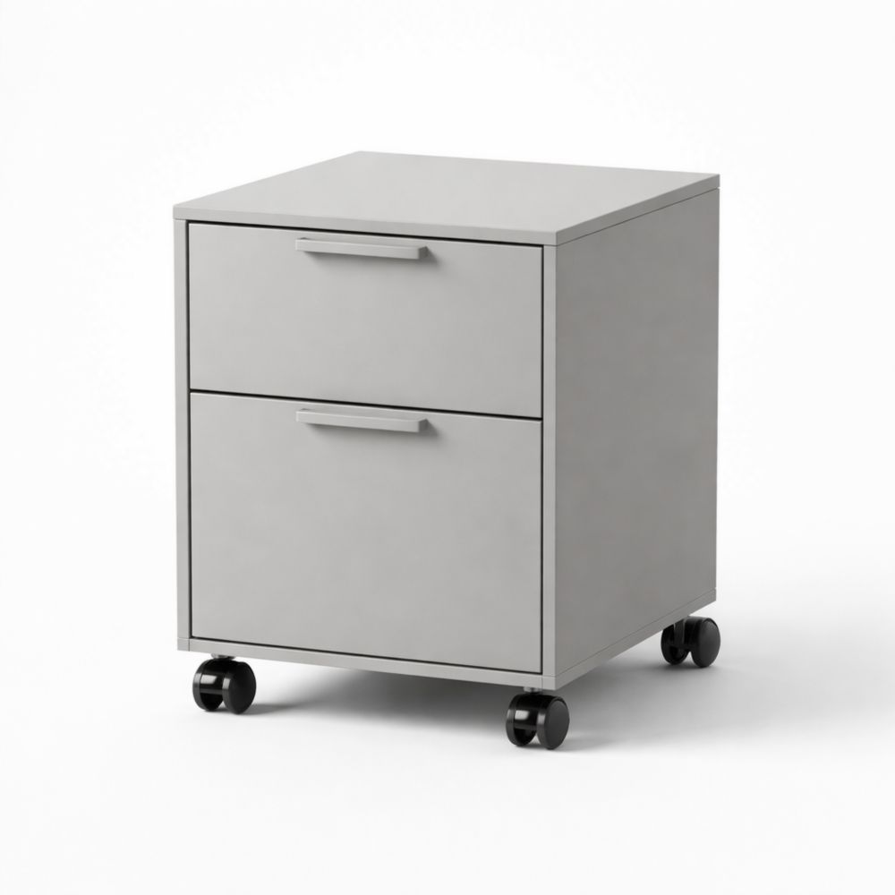 Classeur mobile en métal gris à deux tiroirs