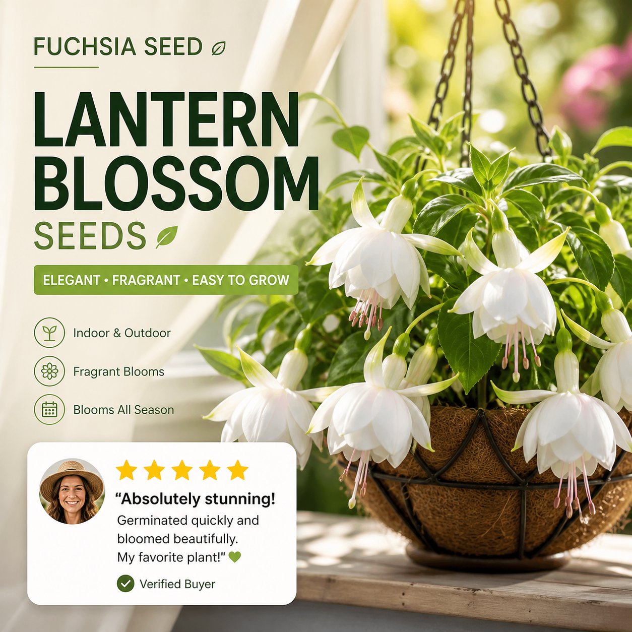 🌸 Semena fuchsie | Fuchsie – směs barev
