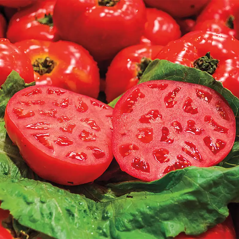🍅🌿 Semena rajčat – jednoduché pěstování doma 🌱 Prodáno již více než 10 000 balení semen ⭐⭐⭐