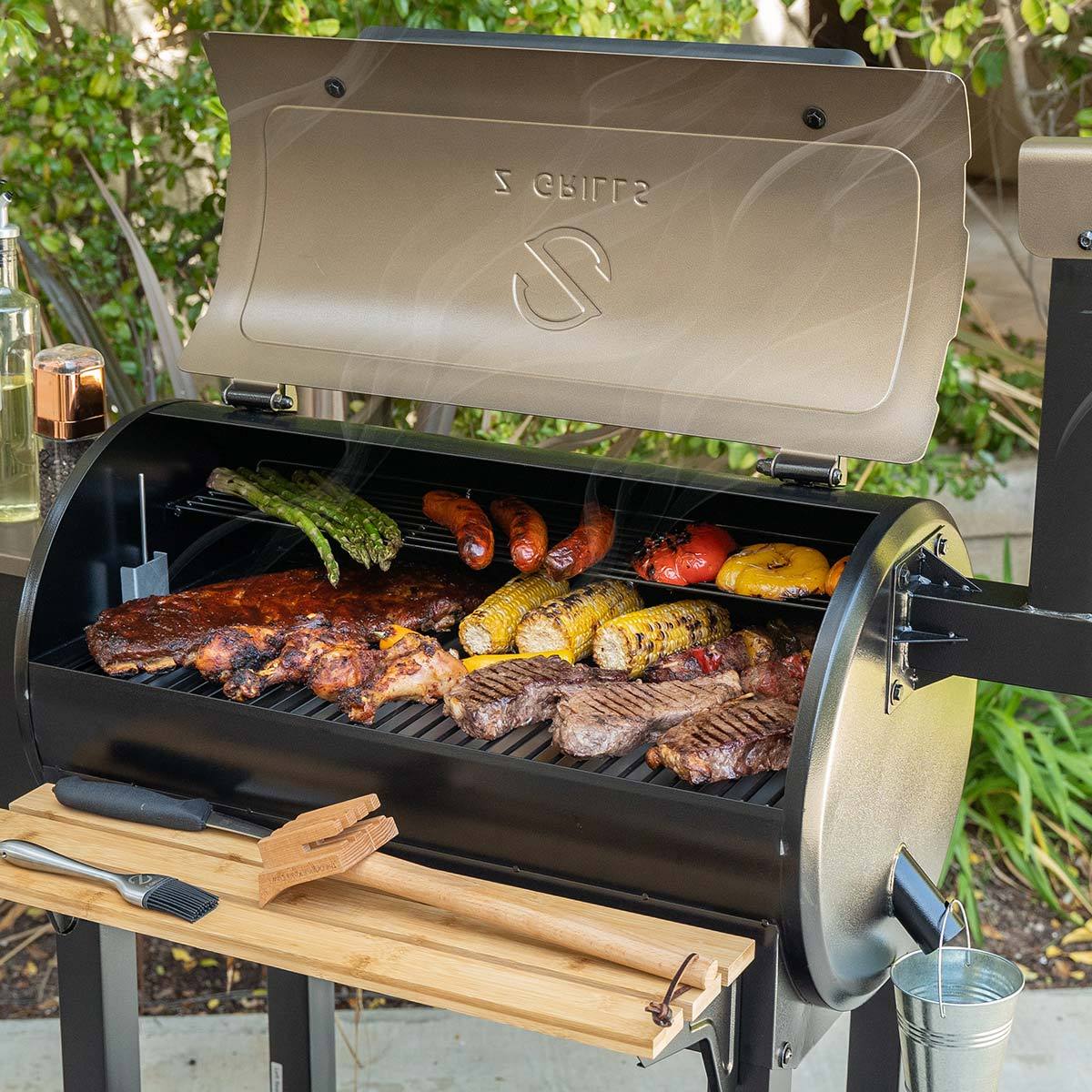 Z GRILLS-550C