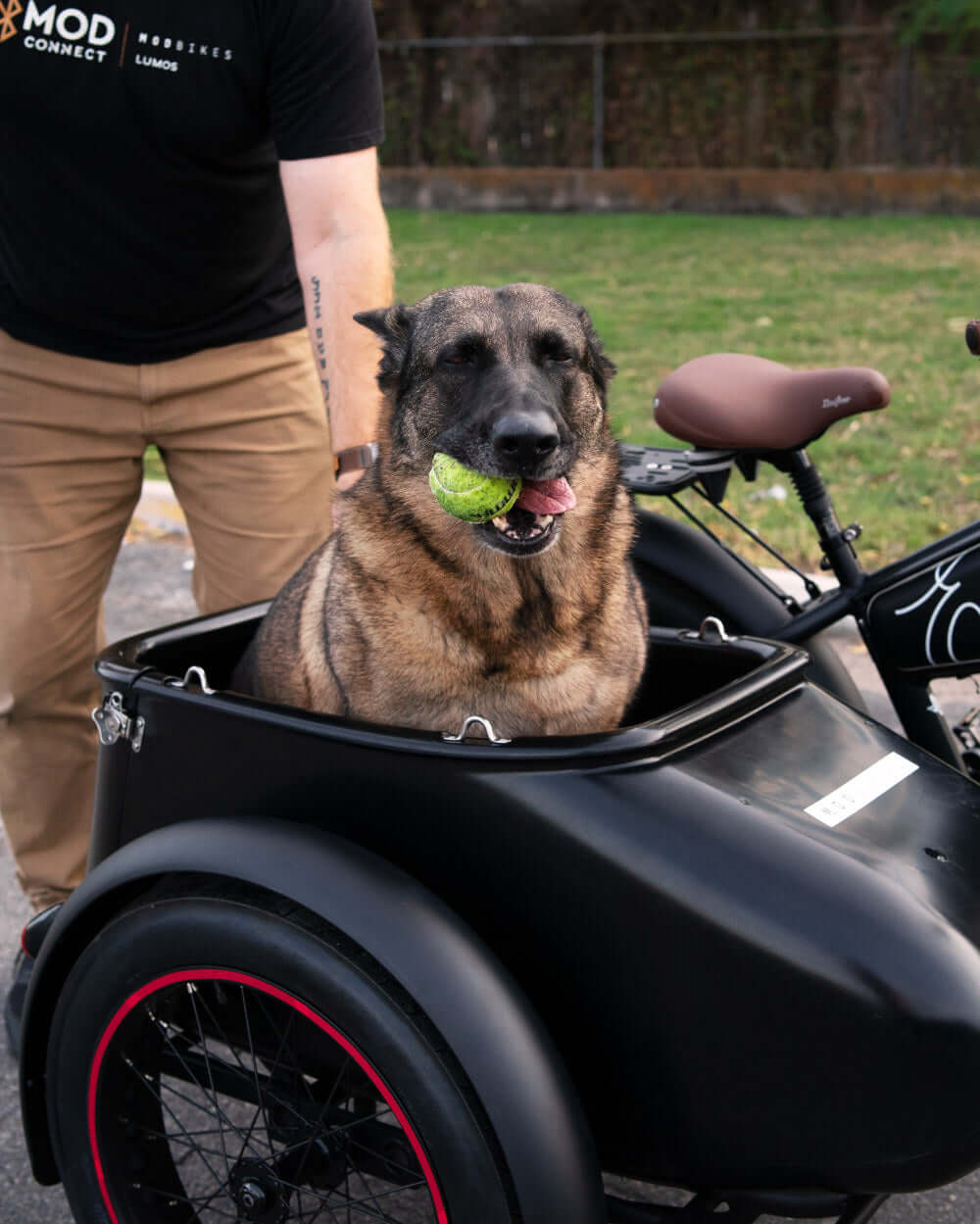 MOD Easy SideCar 3