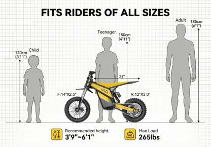 Heybike Villain