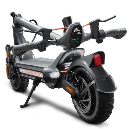 RZ800