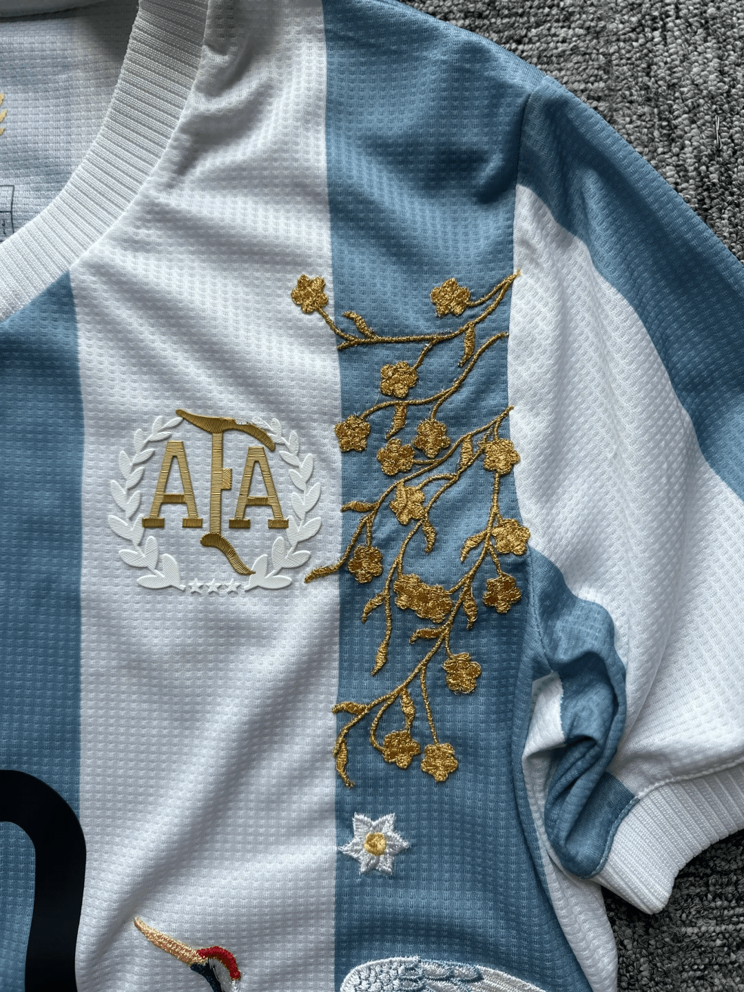 Argentina Embroidered Jersey