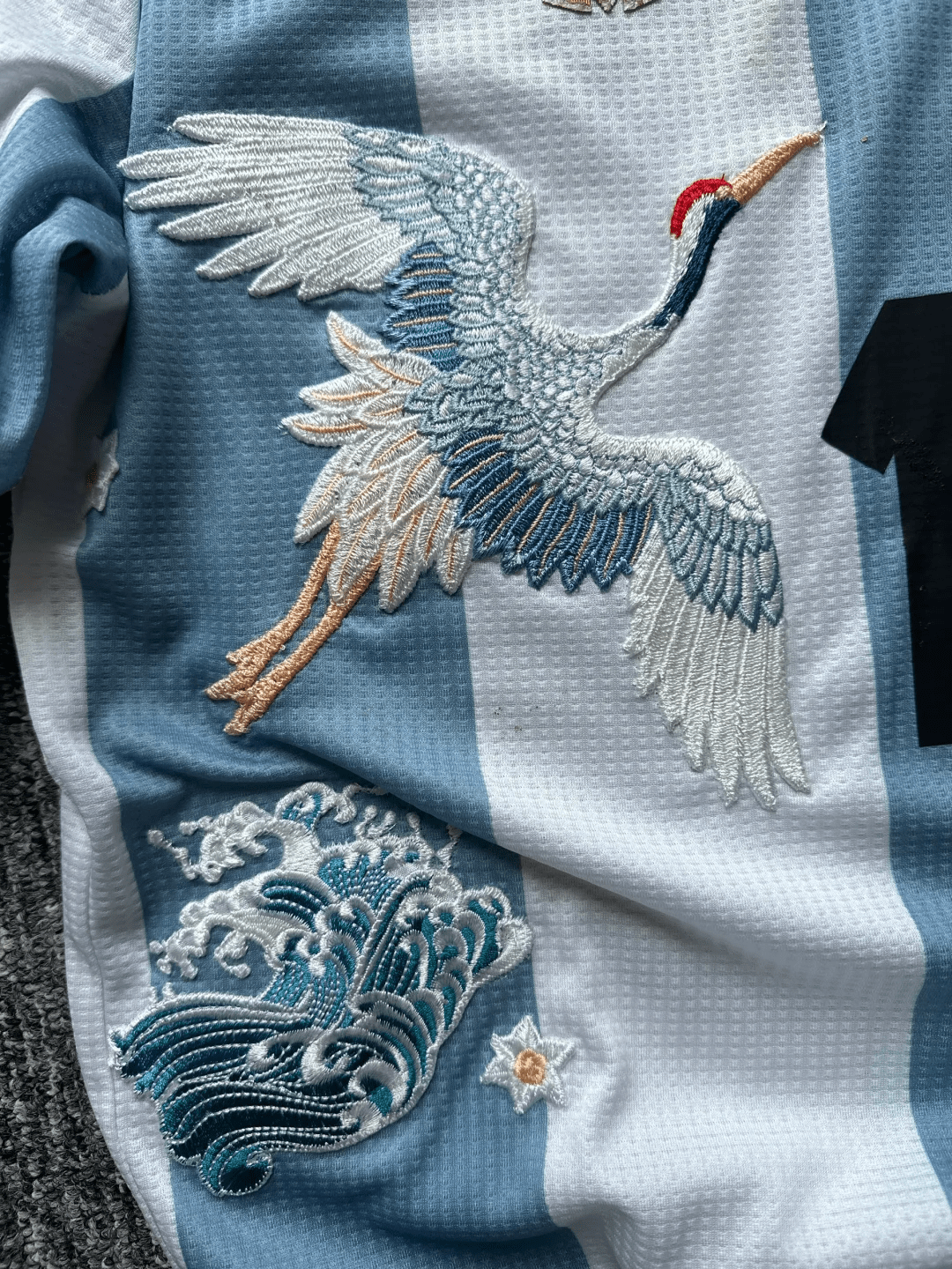 Argentina Embroidered Jersey